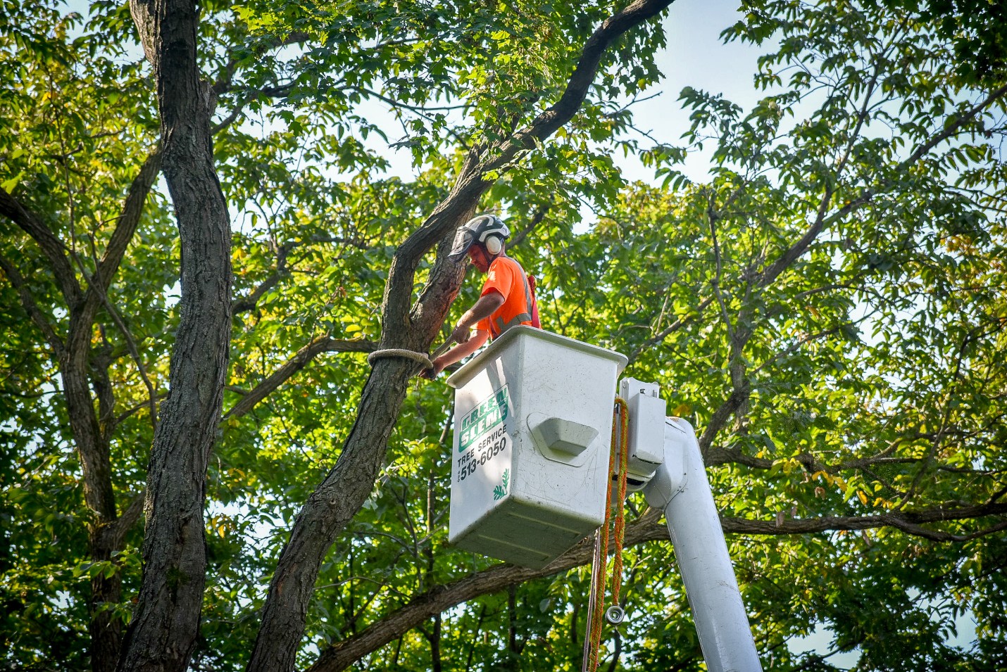 Commemorating Saluting Branches 2018 Green Scene Landscaping